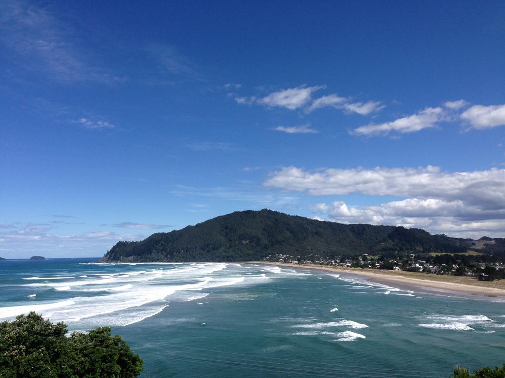 Paku Palms Bed and Breakfast Tairua Rum bild